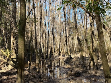 1 Highway 59, Stockton, AL 36579 - photo 5