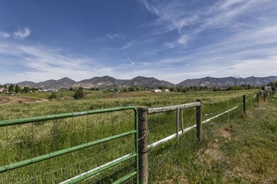 IMG_8241