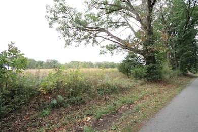 8550 66th St SE, Alto, MI 49302 - photo 3