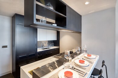 One Manhattan Square unit 47 F, New York, NY 10002 - photo 3