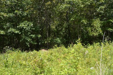 Has two 50' strips  leading into the property.