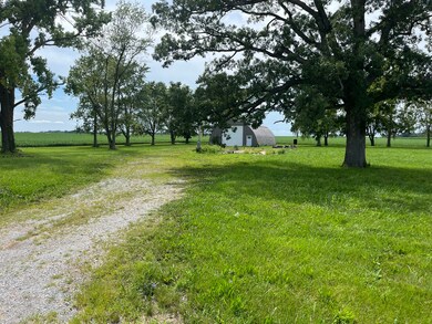 775 N State Route 130, Tuscola, IL 61953 - photo 2