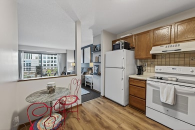 The kitchen has vinyl plank flooring and a new electric range and dishwasher.