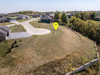 61 Mcintosh Ct, Hannibal, MO 63401 - photo 4