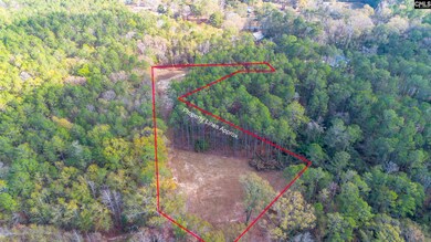 175 Pine Needle Cir, Gaston, SC 29053 - photo 6