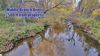 0 Twin Lake Rd, Middle Branch Township, MI 49665 - photo 5