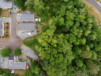 DJI_0259