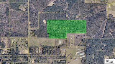 0 Spillers Rd, Ruston, LA 71270 - photo 2