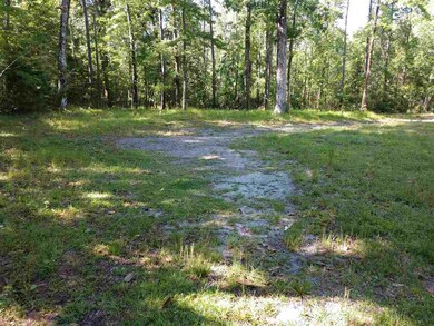 150 Dolly Dr, Crawfordville, FL 32327 - photo 2