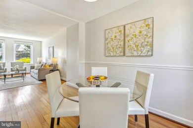 4634 36th St S unit A, Arlington, VA 22206 - photo 6