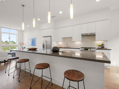 3768 Capitol Ave unit 309B, Fremont, CA 94538 - photo 7