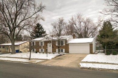 1481Rayne-102