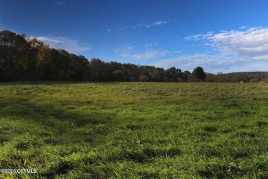 158 Sidler Ln, Danville, PA 17821 - photo 5