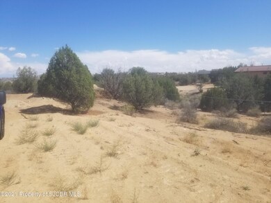 5302 Marcy Place, Farmington, NM 87402 - photo 6