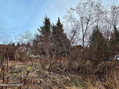 858 Linda Ct, Homer, AK 99603 - photo 3