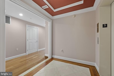 The Ritz-Carlton Residences, Baltimore, MD 21230 - photo 4