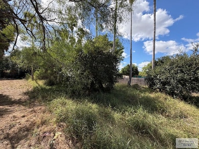 00 Botts Ave, Harlingen, TX 78552 - photo 6