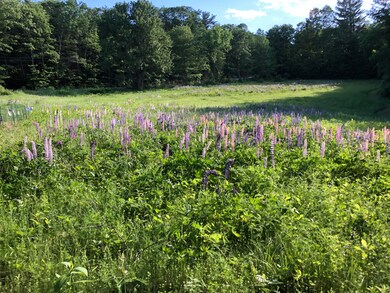 0 Dutton Hill Rd Windham - 3