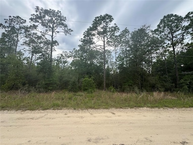 TBD SW 159th Ct, Ocala, FL 34481 - photo 2