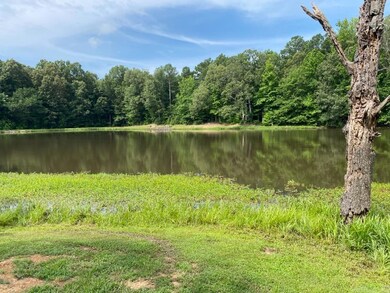 5.43 acres Cr 7802, Jonesboro, AR 72401 - photo 7