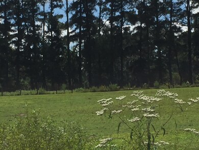 The entire property is fenced in so your animals can roam free.