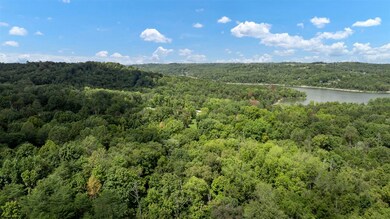 0 Dogwood Ridge, Cub Run, KY 42729 - photo 7