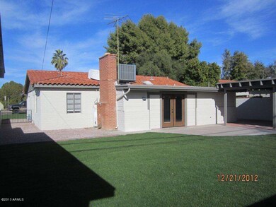 Backyard 1