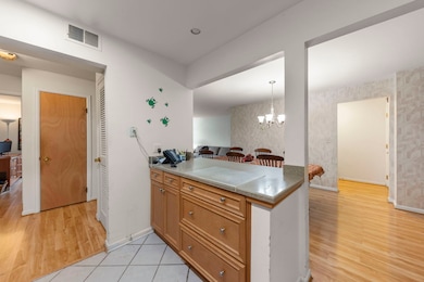 5200 Carriageway Dr unit 101, Rolling Meadows, IL 60008 - photo 7