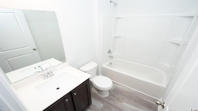 2799 Ophelia Way unit Lot 213 - Aria B, Myrtle Beach, SC 29577 - photo 6