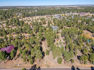 401 E Huckleberry Ln, Show Low, AZ 85901 - photo 6