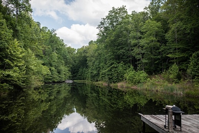 5450 Old Highway 96, Franklin, TN 37064 - photo 3