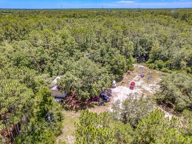 269 Whiddon Lake Rd, Crawfordville, FL 32327 - photo 5