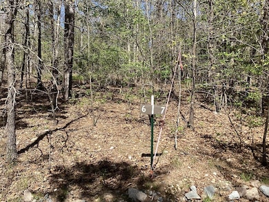 0 Chaparral Ln unit 24298349, Mena, AR 71953 - photo 4