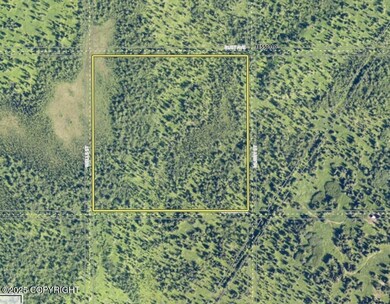 14449 Murry St, Ninilchik, AK 99639 - photo 5