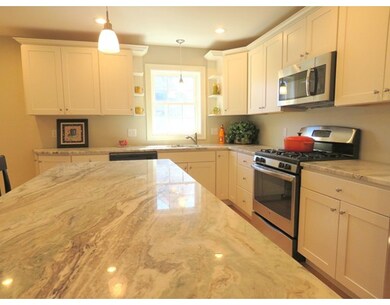 16 Nourse St, Arlington, MA 02474 - photo 5