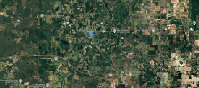 644 S Duval Ave, Madison, FL 32340 - photo 4