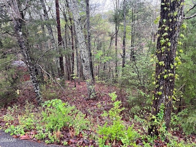 Lot 1 Mountain View Ln, Pigeon Forge, TN 37863 - photo 5