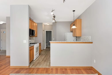 16872 90th Ct N, Osseo, MN 55311 - photo 5