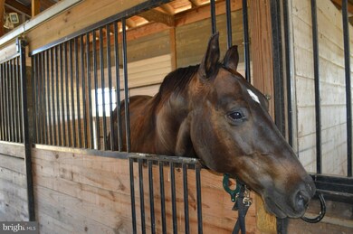 1194 Clary Rd, Strasburg, VA 22657 - photo 2