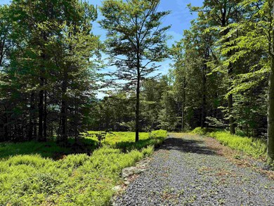 0 Spruce Grove Rd unit 5035135, Wilmington, VT 05363 - photo 3