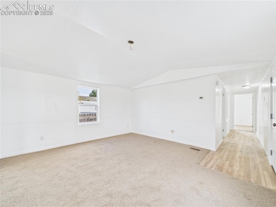 carpet living room