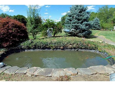 Other. Koi pond