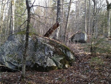 Land/Lot.