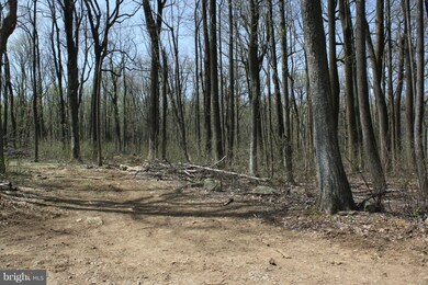 0 Blueridge Mountain Rd unit 1000714459, Bluemont, VA 20135 - photo 7