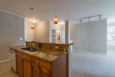 200 Bucksley 201 Charleston SC-small-006