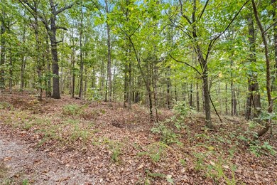 Lots 1 & 2 Kent Ln, Bella Vista, AR 72714 - photo 7