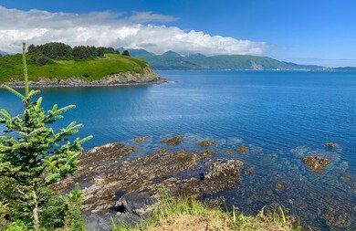 6028 Cliff Point Rd, Kodiak, AK 99615 - photo 6