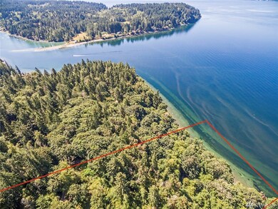 10222 Steffensen Rd, Anderson Island, WA 98303 - photo 2