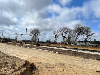 11635 Ruffian Dr, Willis, TX 77318 - photo 7