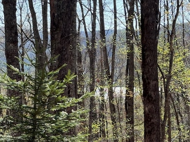 lot 22 Bright Mountain Rd, Cullowhee, NC 28723 - photo 5